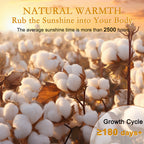 YOUR MOON Luxurious All Season Wool Comforter Queen Size 100% Natural Australian Lamb Wool Duvet, Hypoallergenic Premium Wool Filled Comforter, Noiseless Cotton Cover, Medium Weight