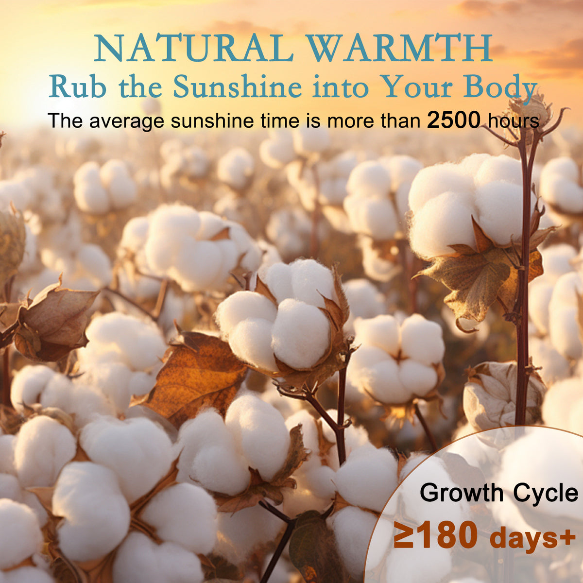 YOUR MOON Luxurious Lightweight Summer Wool Comforter, Smooth Cooling Thin Comforter/Duvet Insert, 100% Natural Australian Wool Filled Comforter Blanket, Noiseless Cotton Shell