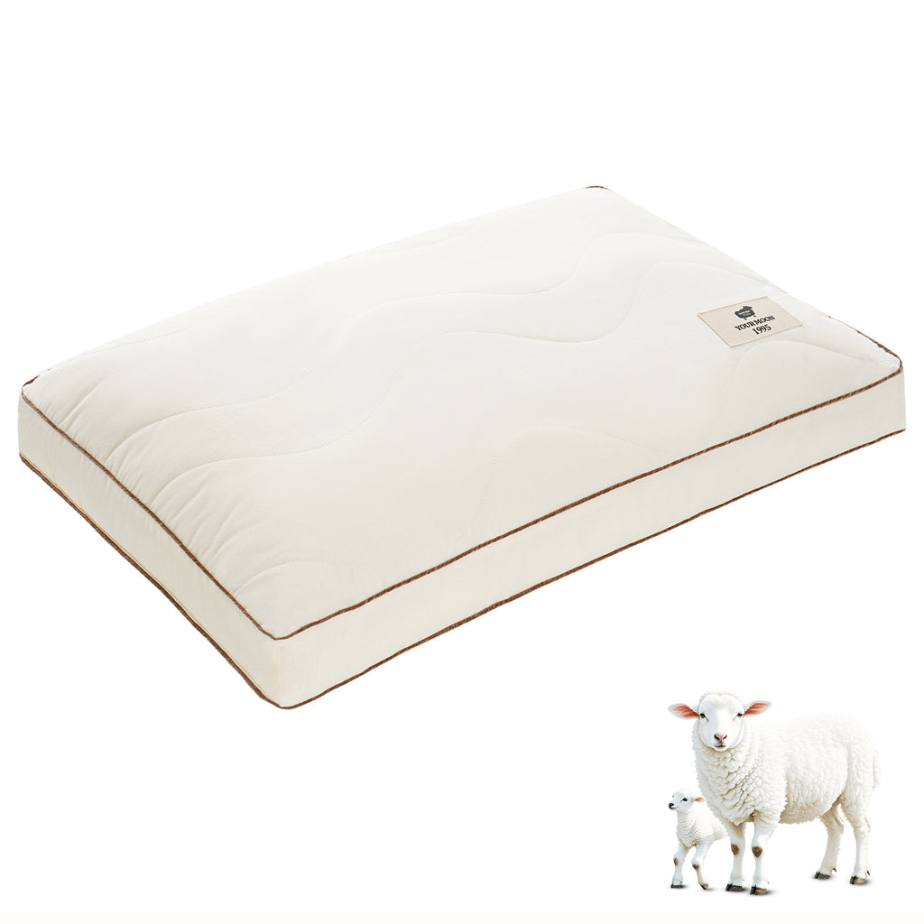 YOUR MOON Support Wool Pillow Queen Size Set of 2 (Off White) Natural Premium Australian Wool & Down Alternative Filling, 100% Cotton Cover, Soft Breathable Wool Bed Pillow