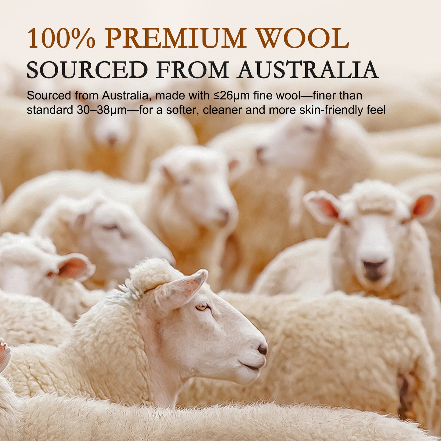 YOUR MOON All Season Wool Comforter Queen Size, Cotton Shell, White 100% Australian Wool Filling, 300 GSM Medium Weight, Soft Breathable Wool Duvet Insert for Year-Round Use, 90 x 90 in