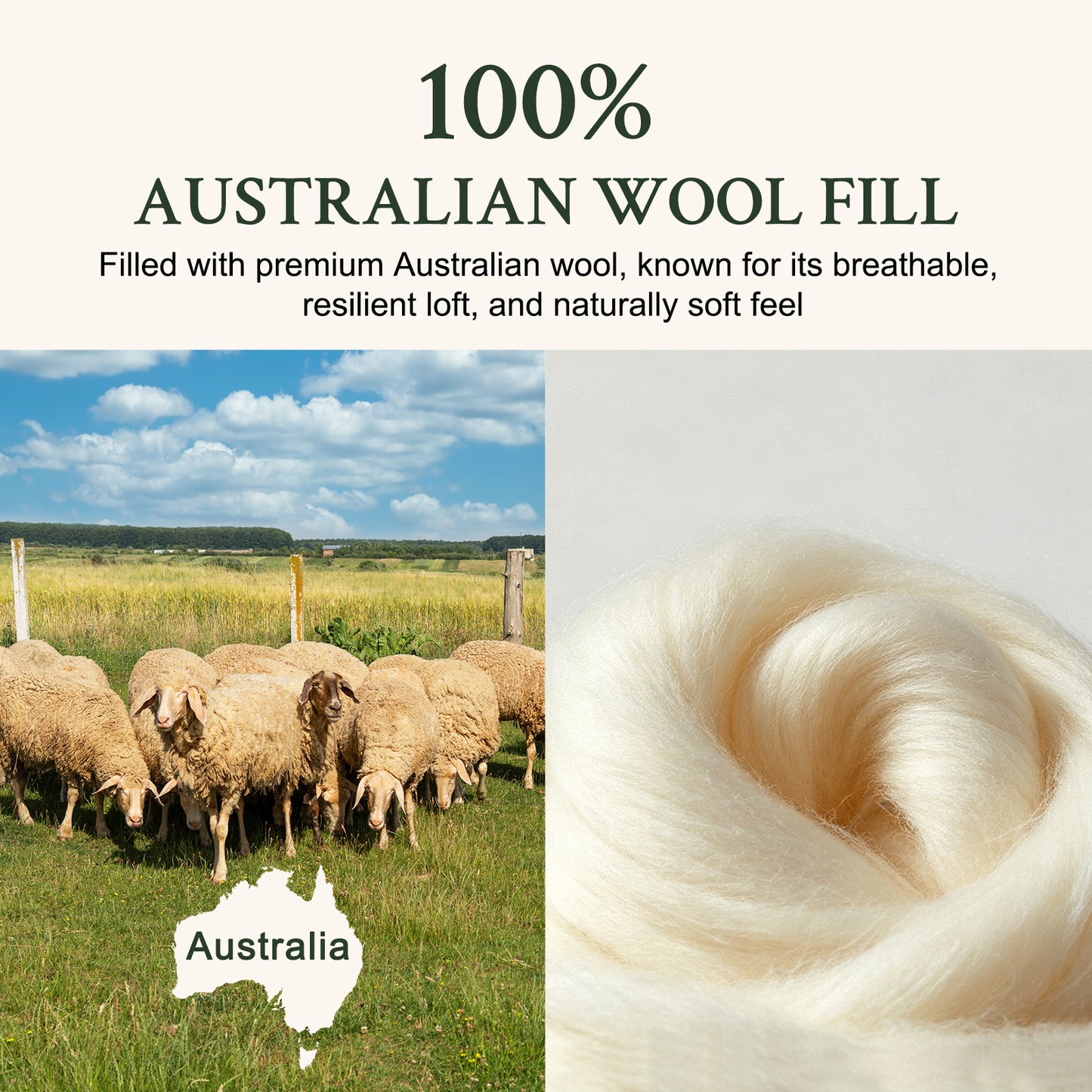 YOUR MOON Natural Wool Mattress Pad Queen Size, 100% Australian Wool Filling Mattress Topper, 200GSM Quilted Fitted Mattress Bed Cover, Breathable Cotton Cover with 16" Deep Pocket(White)