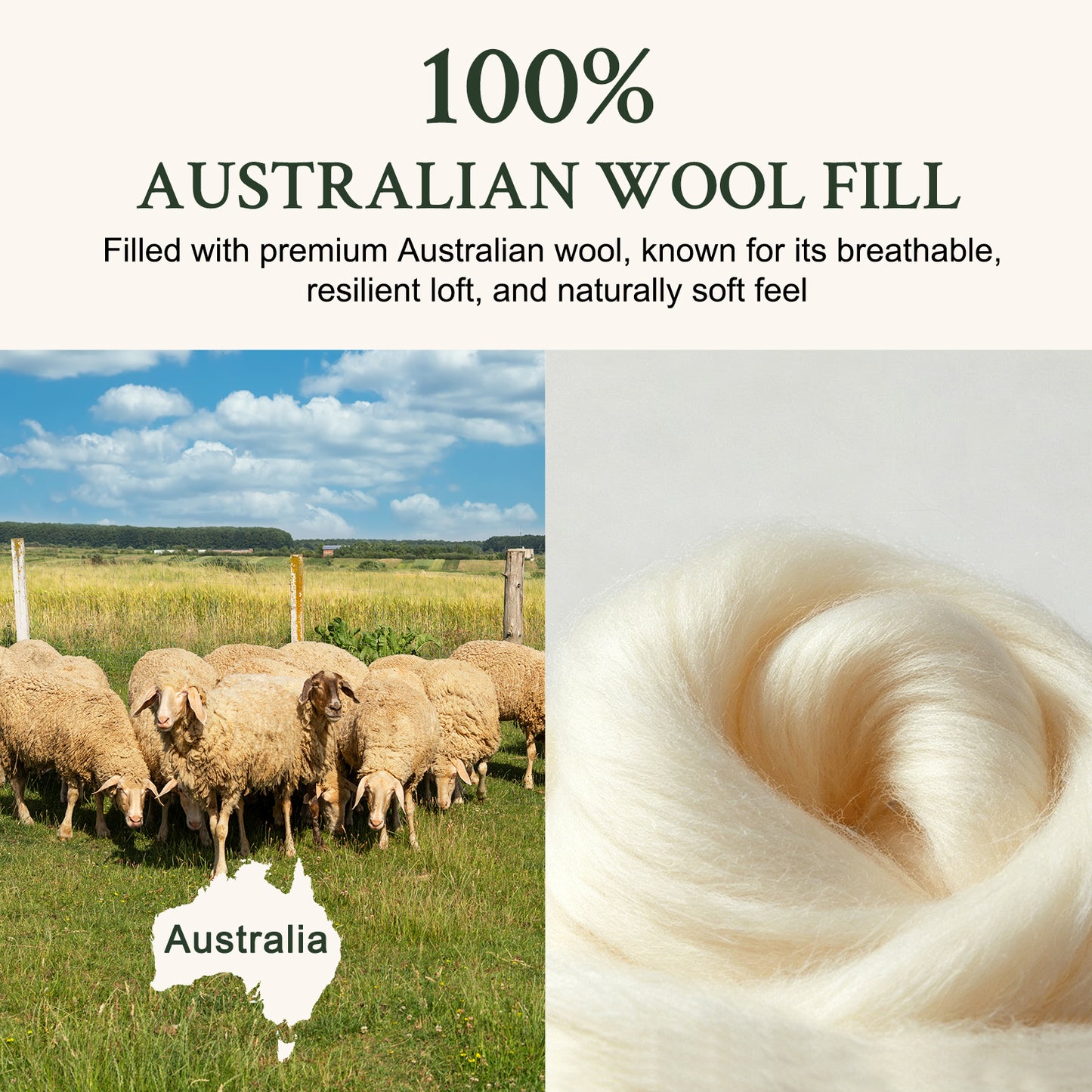 YOUR MOON Natural Wool Mattress Pad Queen Size, 100% Australian Wool Filling Mattress Topper, 560GSM Quilted Fitted Mattress Bed Cover, Breathable Cotton Cover with 16" Deep Pocket(White)