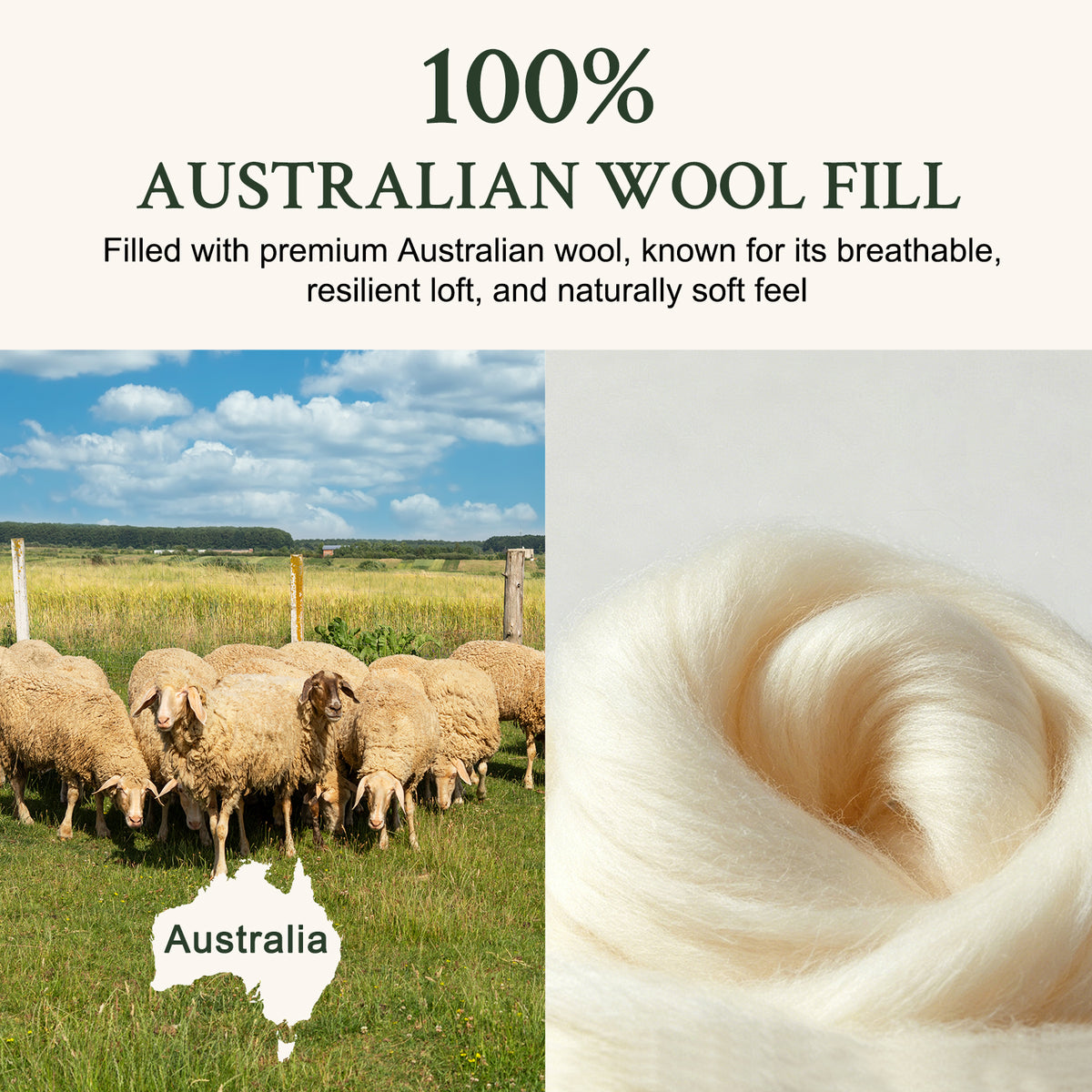 YOUR MOON Natural Wool Mattress Pad Queen Size, 100% Australian Wool Filling Mattress Topper, 560GSM Quilted Fitted Mattress Bed Cover, Breathable Cotton Cover with 16" Deep Pocket(White)