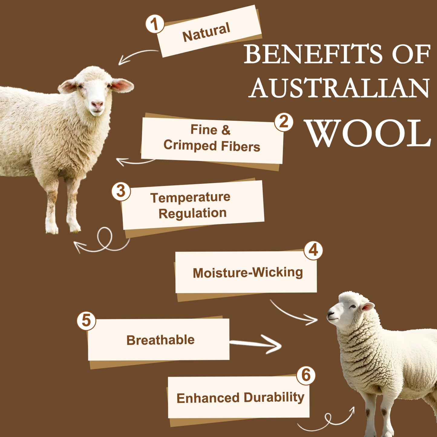 YOUR MOON Wool Mattress Pad Twin,51% Australian Wool, 500GSM-White Natural Cotton Cover, Quilted Wool Mattress Pad, Fitted Mattress Bed Cover with 16-Inch Deep Pocket