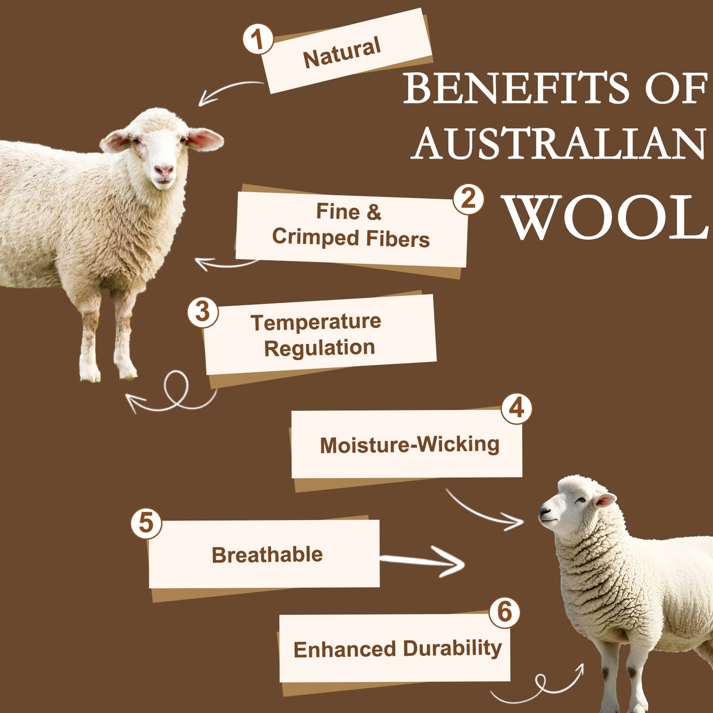 YOUR MOON Wool Mattress Topper Queen, 51% Australian Wool, 800GSM-Off White Natural Cotton Cover, Quilted Wool Mattress Pad, Fitted Mattress Bed Cover with 16-Inch Deep Pocket
