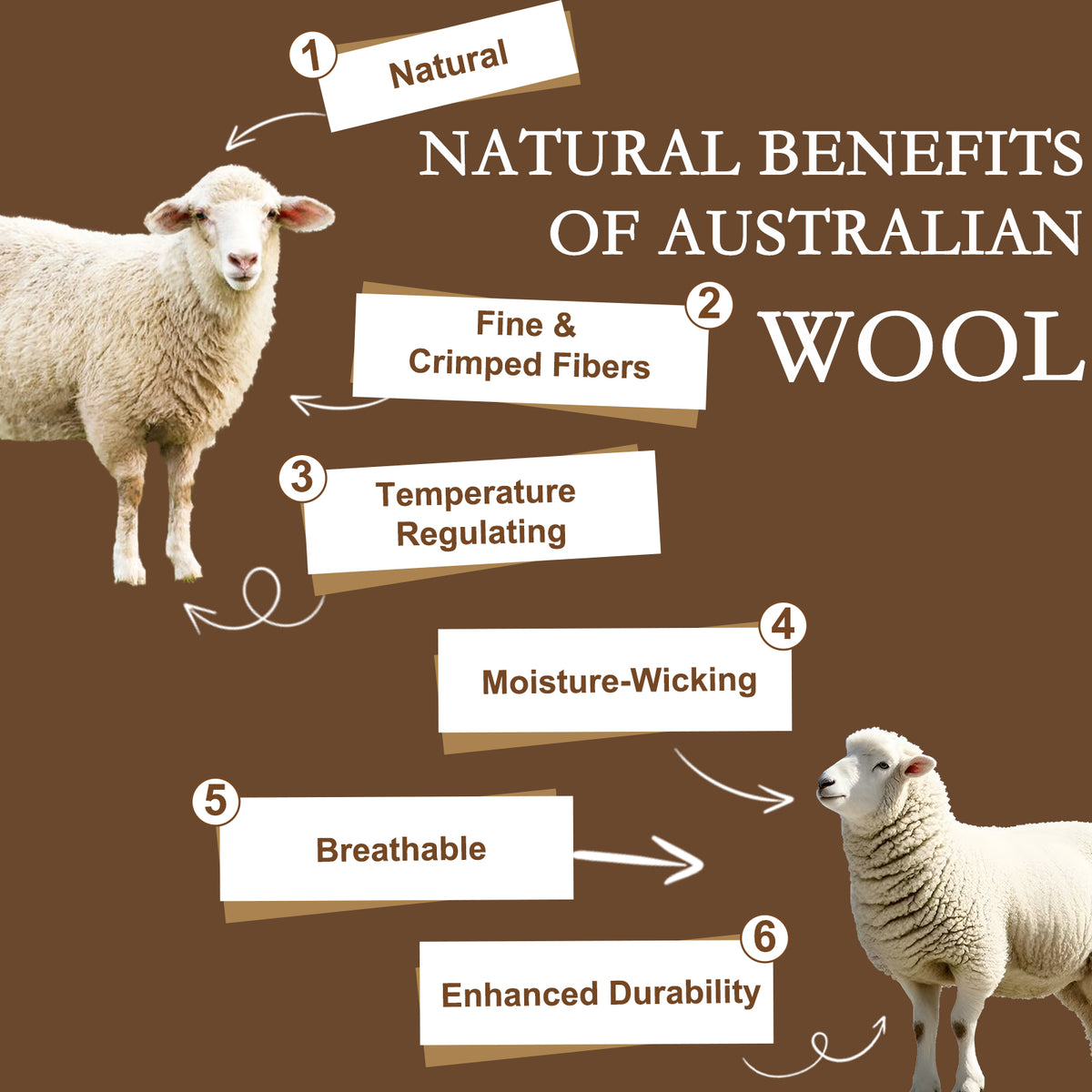 YOUR MOON Wool Mattress Pad Queen, 51% Australian Wool, 200GSM-White Natural Cotton Cover, Quilted Wool Mattress Pad, Fitted Mattress Bed Cover with 16-Inch Deep Pocket