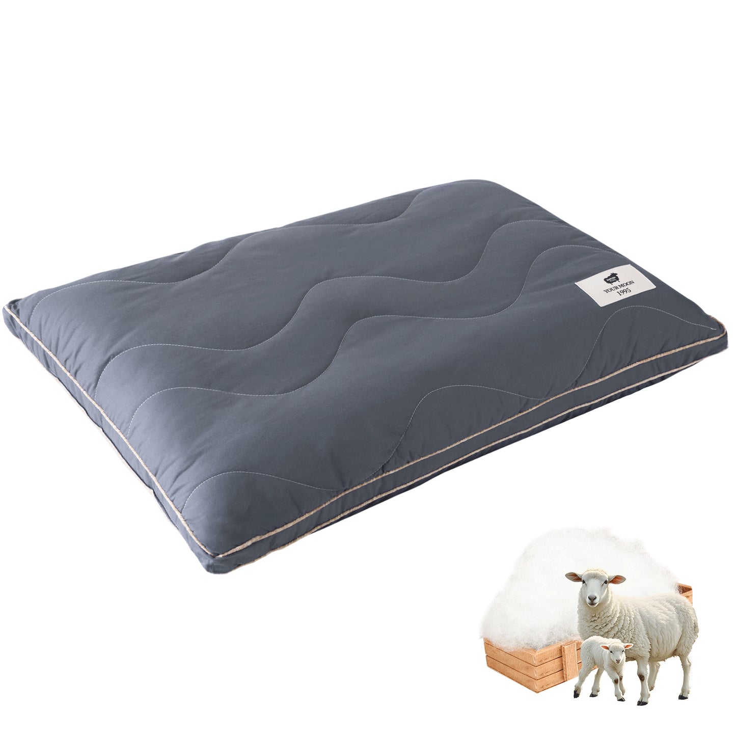 YOUR MOON Natural Wool Pillow Queen Size, Flat & Thin Wool Pillow for Sleeping, Low-Loft Bed Pillows for Back and Stomach Sleepers, Breathable Cotton Cover